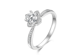 z6��������ʱ(�й�)�ٷ���վ