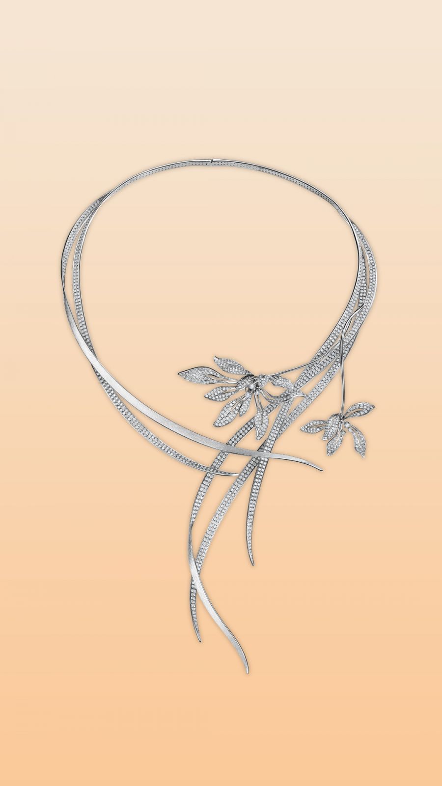 �չ�����