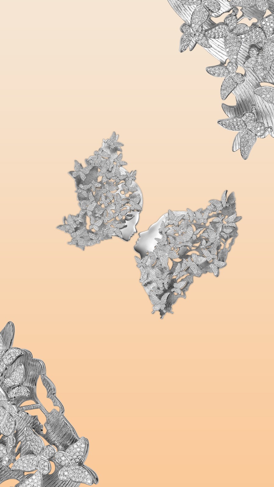 ��˵����