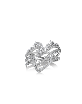 �����ǳ�ϵ����ʯ����