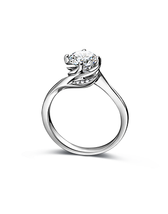 �����һ�԰��ϵ��-����