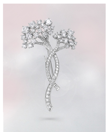 �ػ�����ϵ�и߼��鱦��ȸԾ��