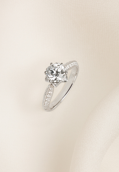 z6��������ʱ(�й�)�ٷ���վ�����꡶������