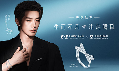 z6��������ʱ(�й�)�ٷ���վ