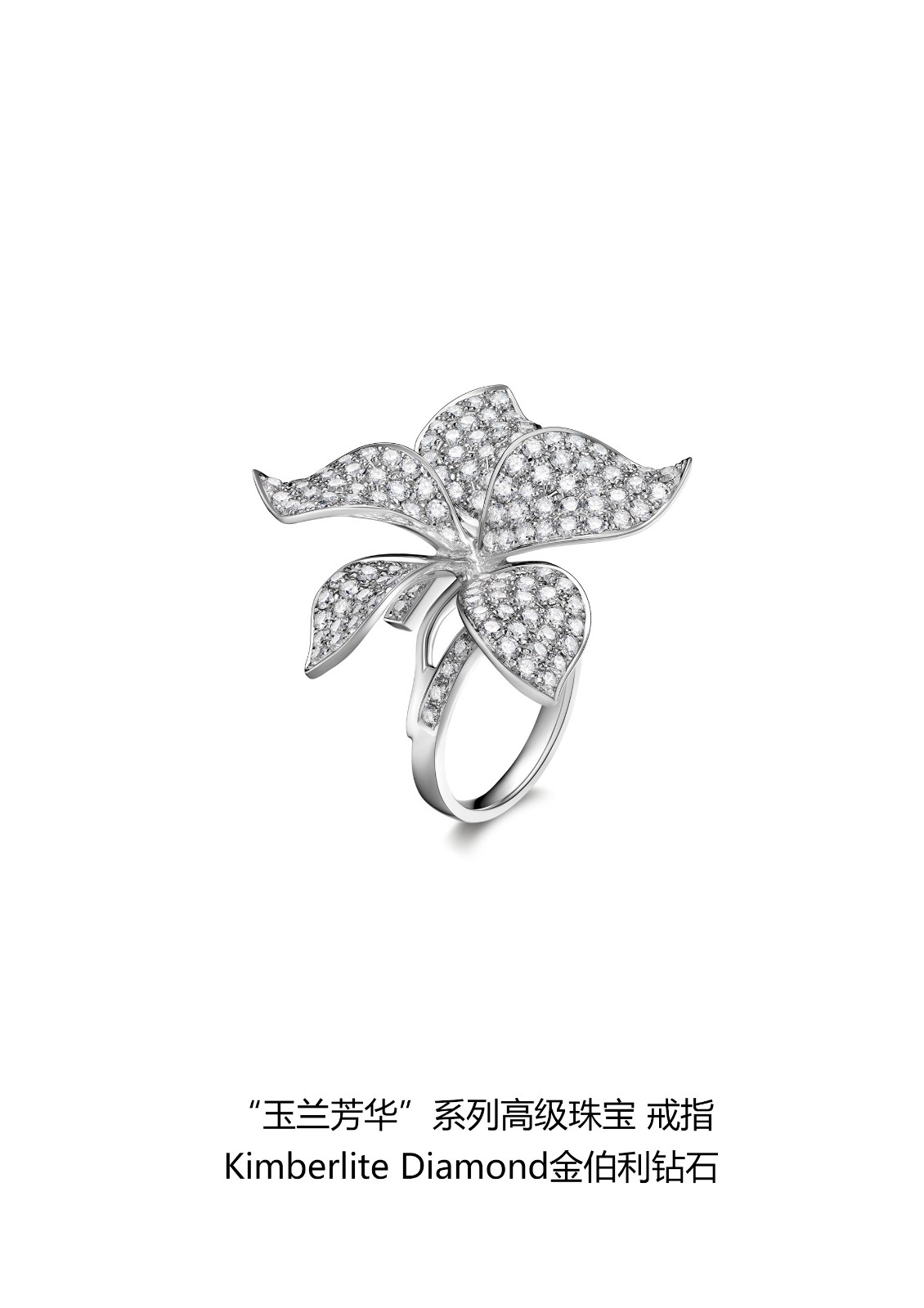 �����ഺϵ�и߼��鱦֮��ָ